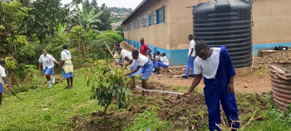 Growing environmental stewardship through practical action