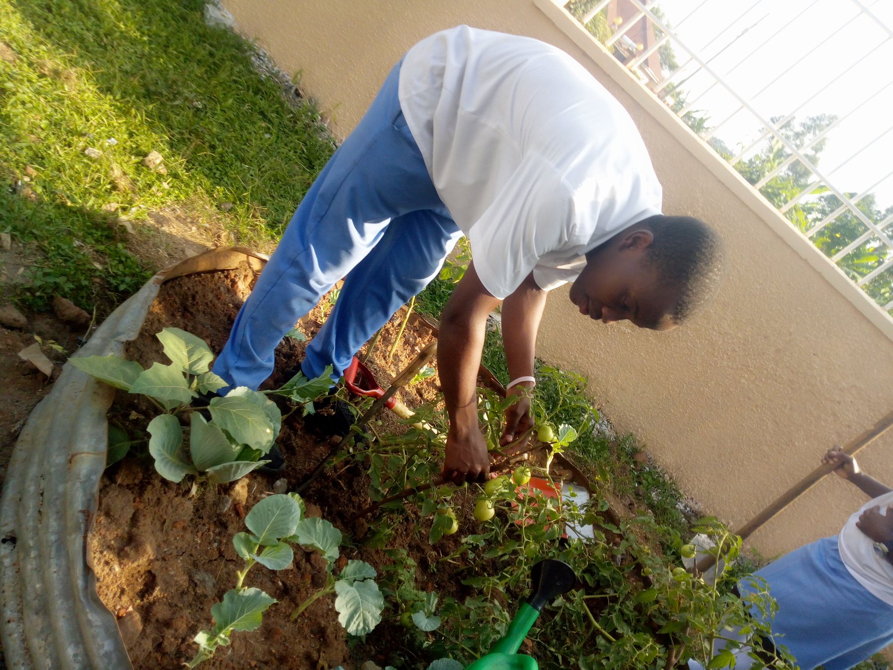 Hands-on care for young plants
