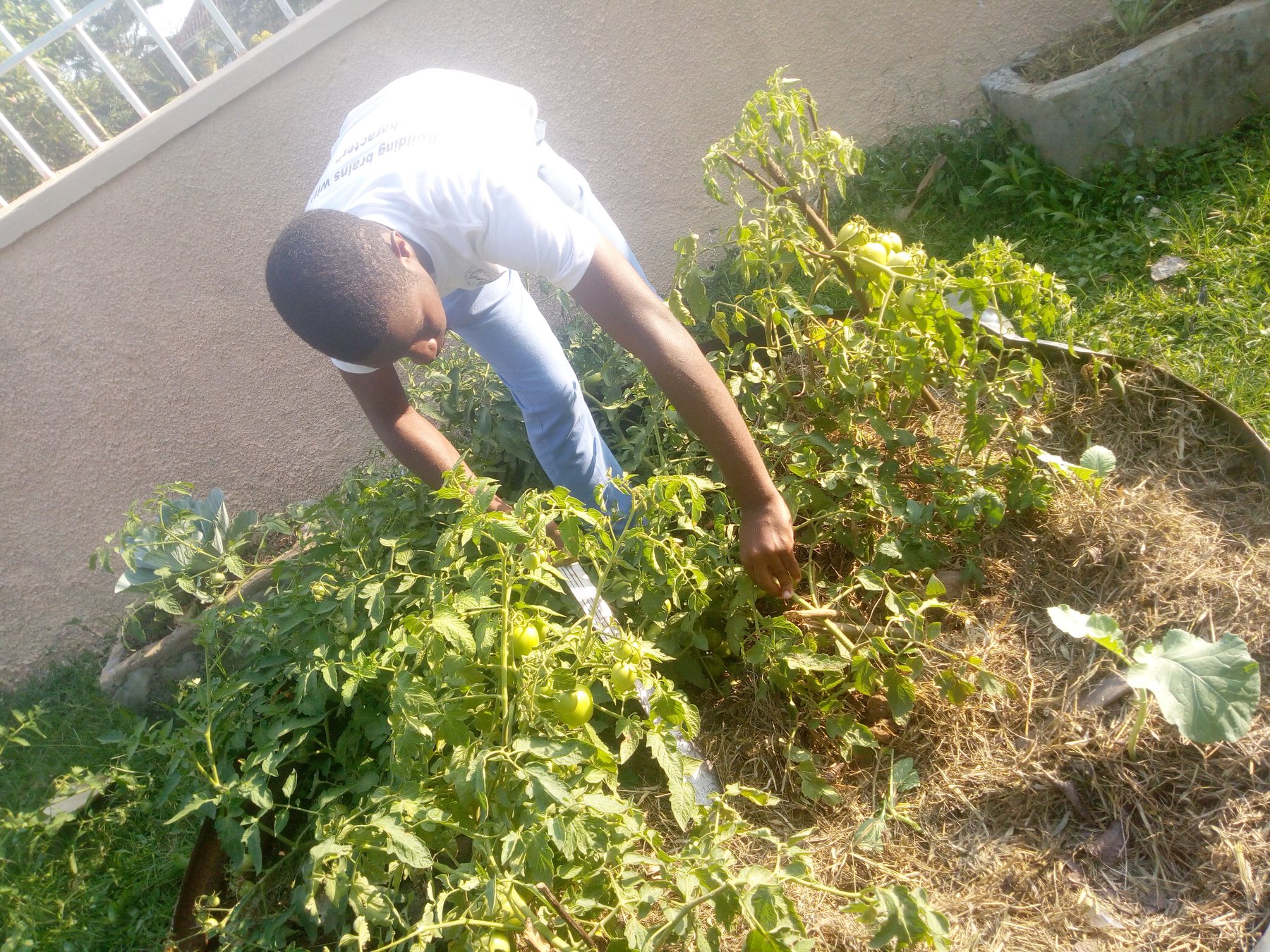 Practical environmental care